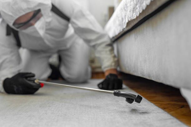 Professional Bed Bug Control technician working in Teague, TX