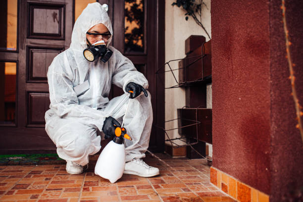 Reliable Bed Bug Control contractor in Teague, TX by Nex Pest Control